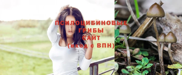 бутират Кукмор