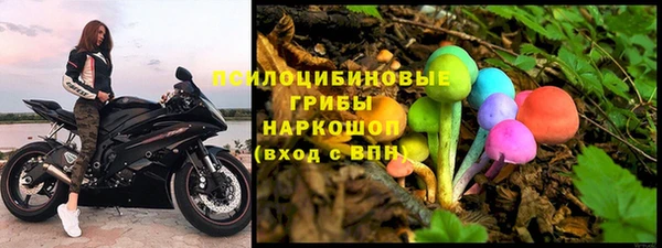 бутират Кукмор