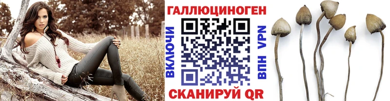 Псилоцибиновые грибы прущие грибы  Купить закладки  Воскресенск 