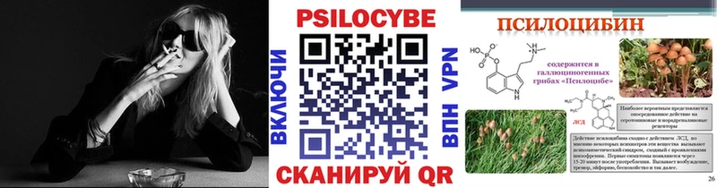 Галлюциногенные грибы Cubensis Воскресенск